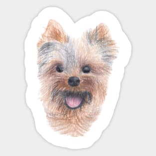 Yorkshire Terrier Puppy Sticker